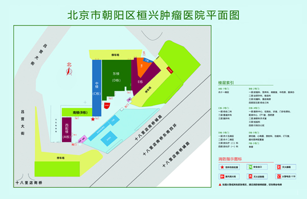 屌玩屄视频北京市朝阳区桓兴肿瘤医院平面图